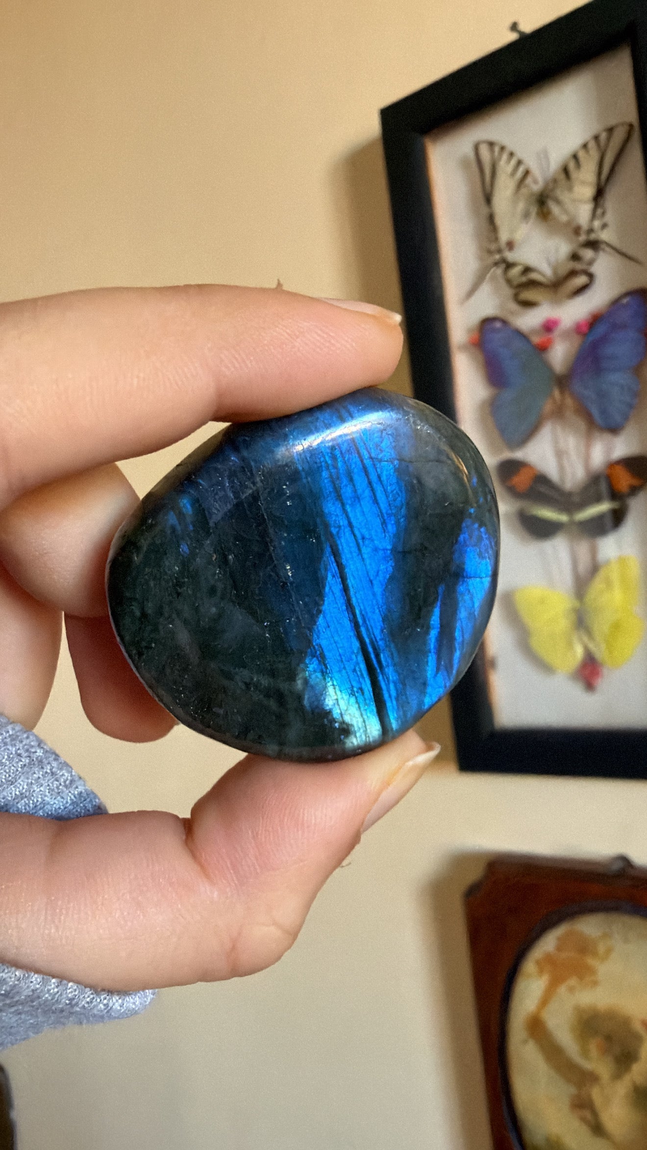 Palmstones in Labradorite