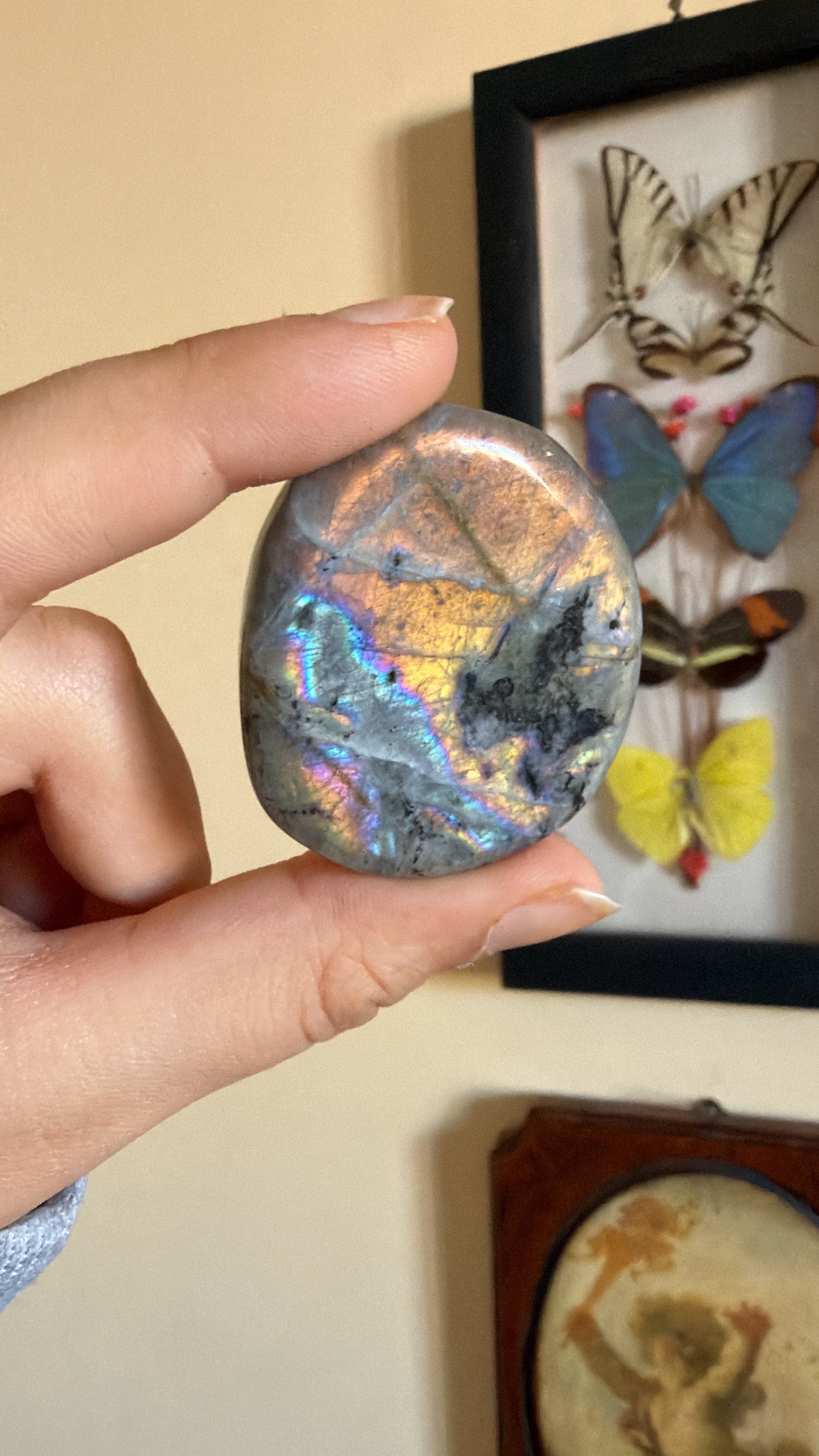 Palmstones in Labradorite