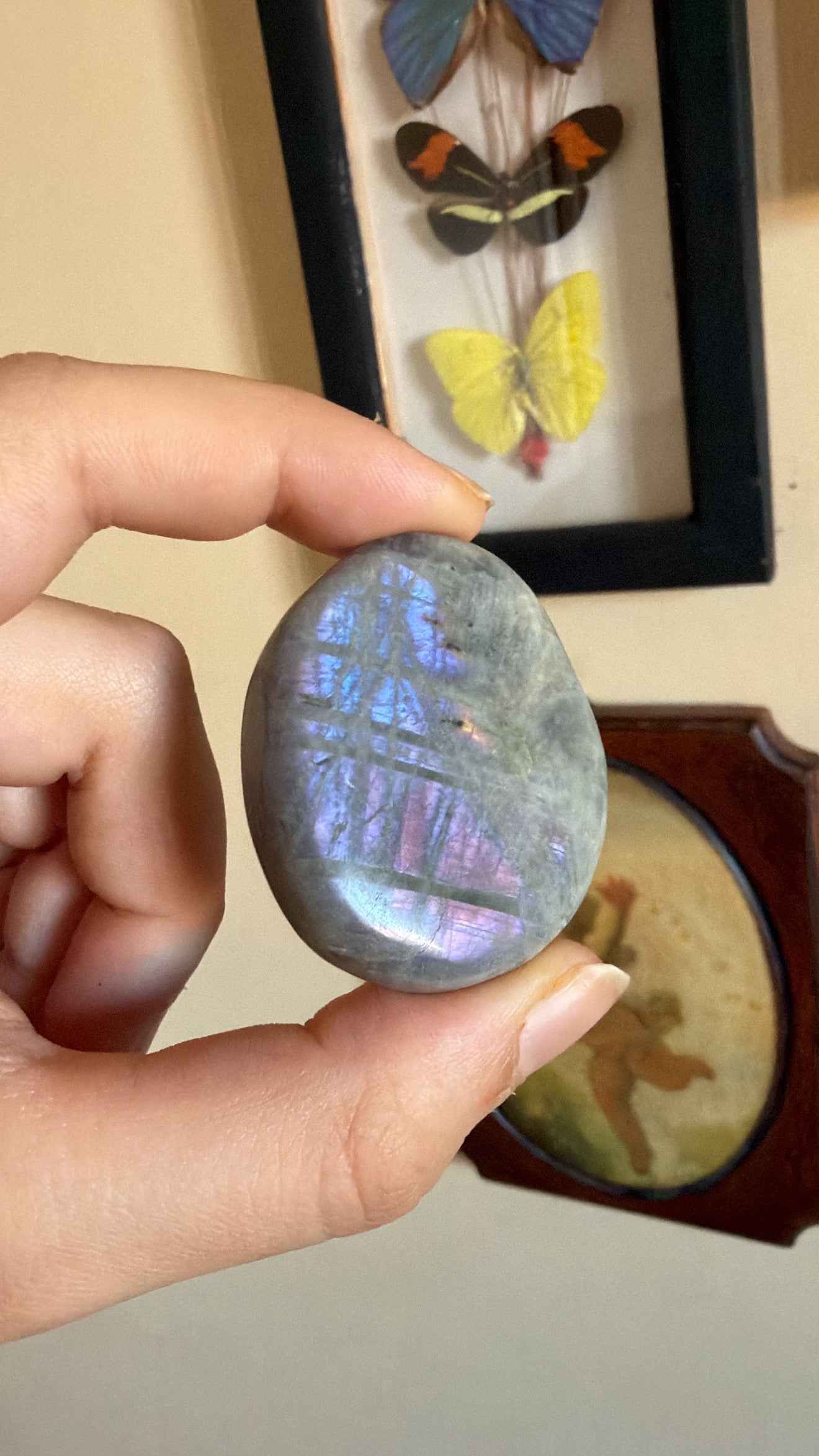 Palmstones in Labradorite