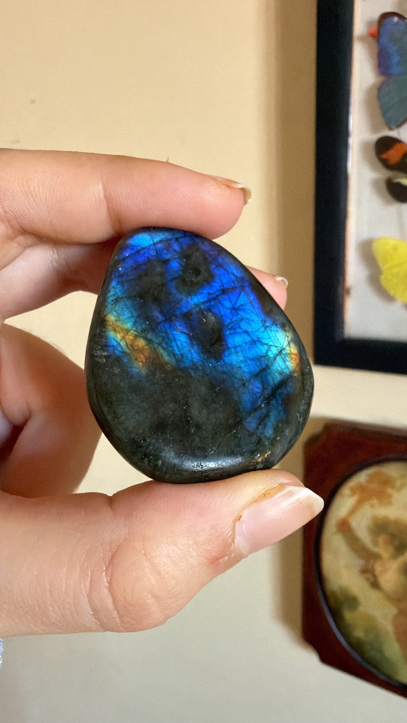 Palmstones in Labradorite