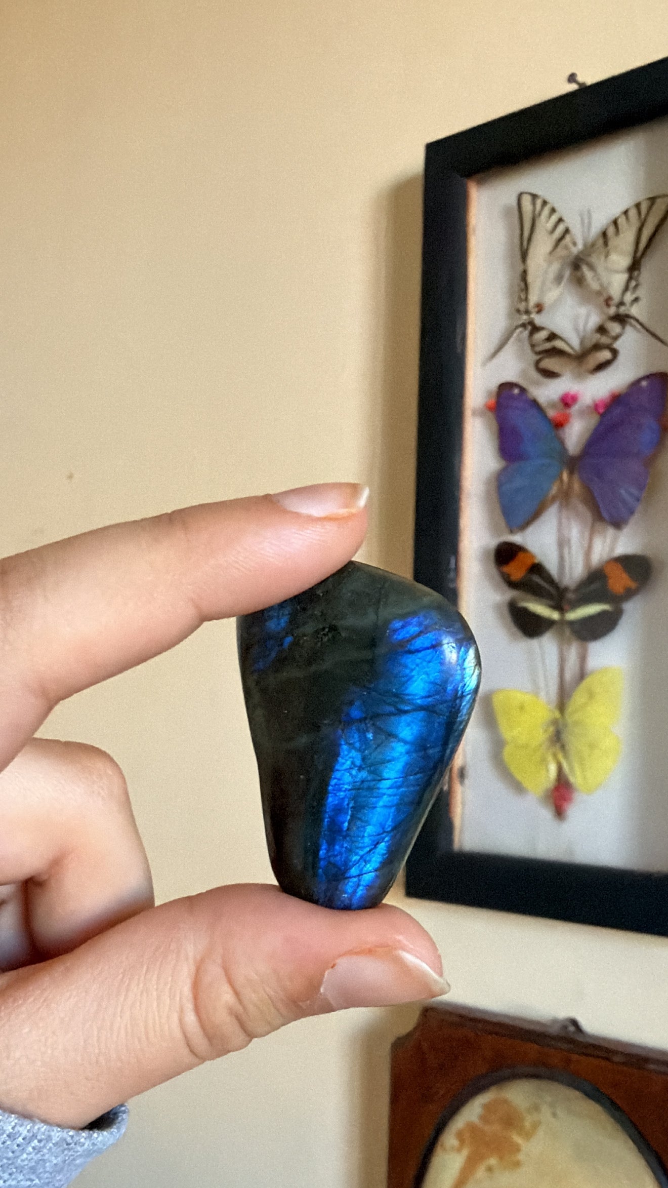 Palmstones in Labradorite